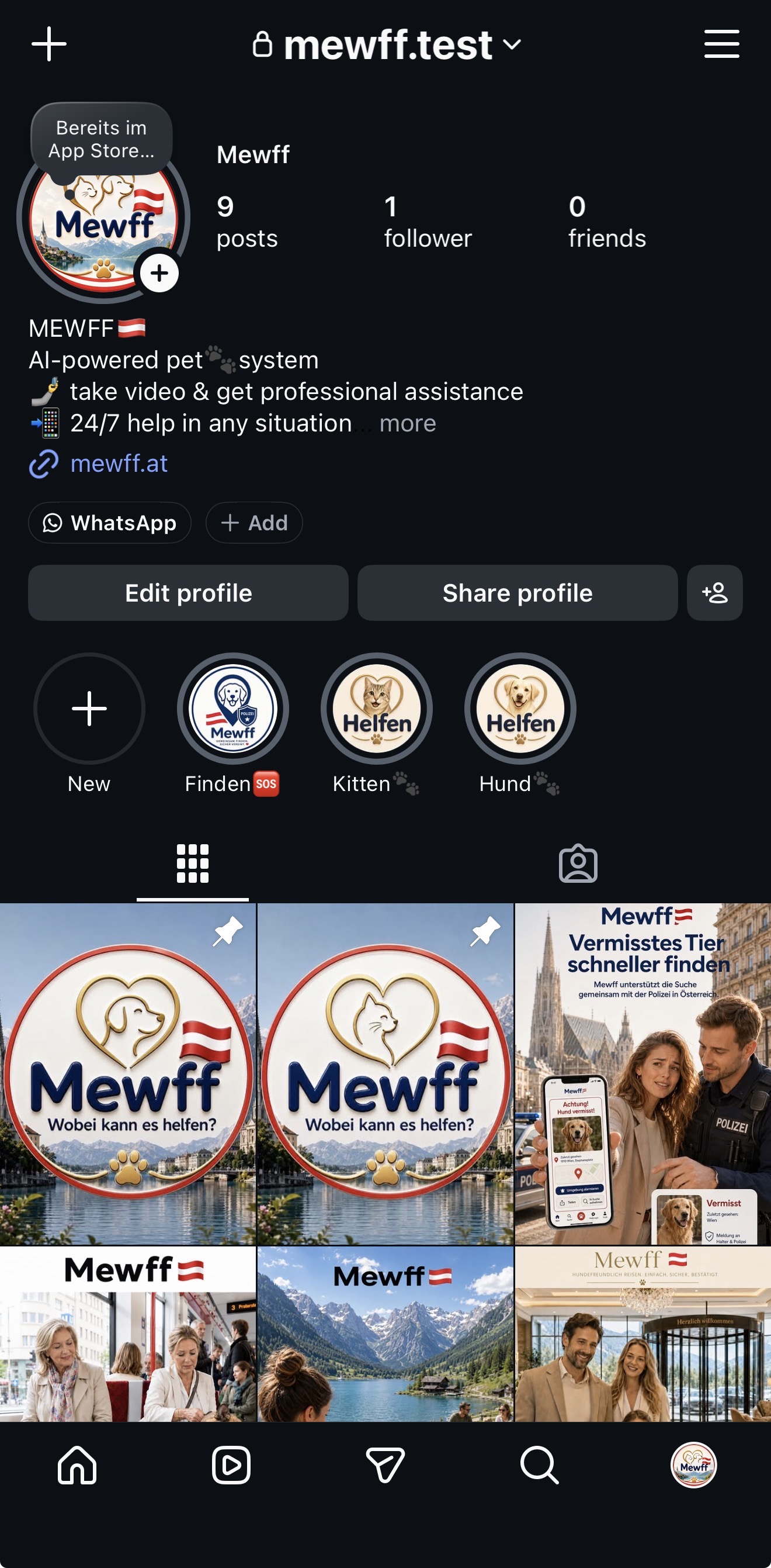 Instagram страница Mewff с городскими сценариями